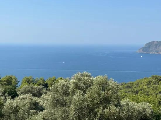 In Çandır mit Meerblick 21.000 m2 zu verkaufen 2b Feld