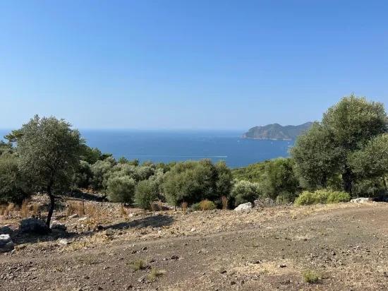 In Çandır mit Meerblick 21.000 m2 zu verkaufen 2b Feld