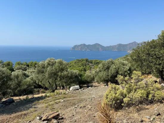 In Çandır mit Meerblick 21.000 m2 zu verkaufen 2b Feld