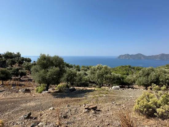In Çandır mit Meerblick 21.000 m2 zu verkaufen 2b Feld