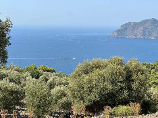 In Çandır mit Meerblick 21.000 m2 zu verkaufen 2b Feld