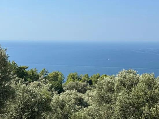 In Çandır mit Meerblick 21.000 m2 zu verkaufen 2b Feld