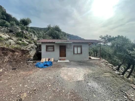 Köyceğiz Ekincik mit Meerblick 7.000m2 2b zu verkaufen Olivenhain