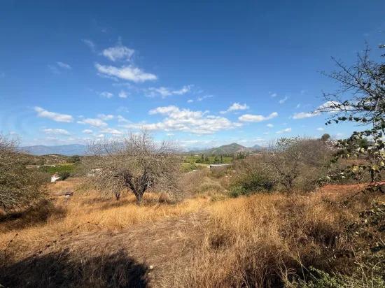 In Dalyan Karadağ Seeblick 5.000m2 zu verkaufen Acker