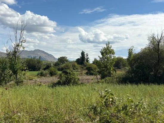 10.500 m2 zum Verkauf Feld In Köyceğiz Zeytinalanı