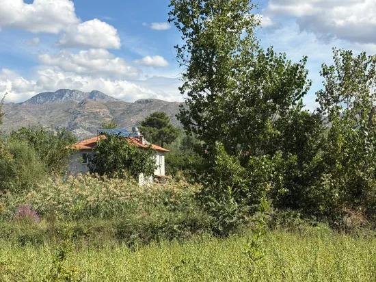 10.500 m2 zum Verkauf Feld In Köyceğiz Zeytinalanı