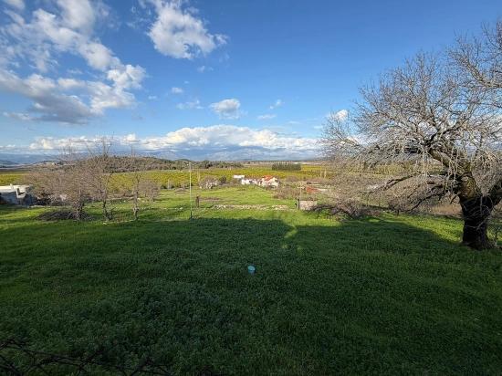 11.230 M² Großes Grundstück Mit Seeblick In Dalyan Zu Verkaufen.