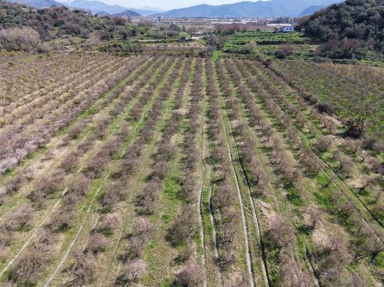 16.710 M² Granatapfelgarten Zum Verkauf Mit Seeblick In Eskiköy