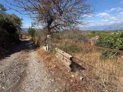 Feld Zu verkaufen in Dalyan Bz. Ortaca - Feld-Zonierung - 5.000 m²