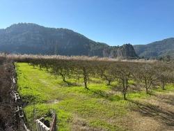 Land Zu verkaufen in Dalyan Bz. Ortaca - Gehäuse-Zonierung - 5.985 m²