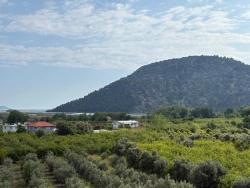 Feld Zu verkaufen in Çandır Bz. Köyceğiz - Feld-Zonierung - 1.721 m²