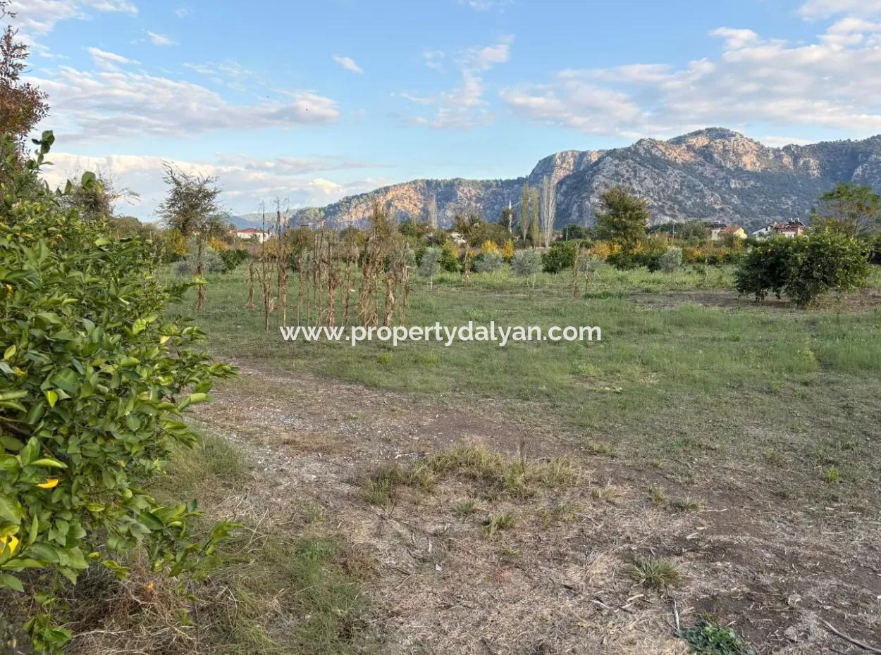 7.450M2 Land Zum Verkauf In Der Nähe Des Zentrums Von Dalyan