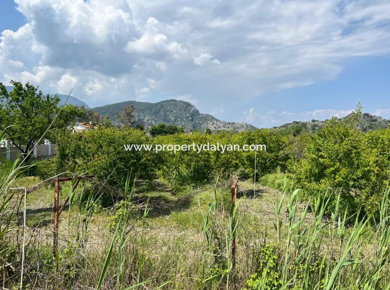 5.100 M2 Land Zum Verkauf In Der Gegend Von Dalyan Maraş Mit 5% Wohnzone