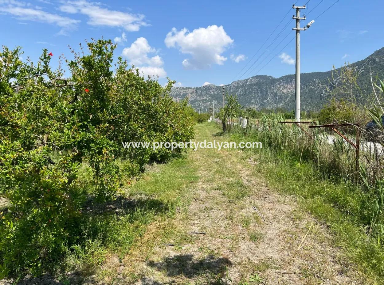 5.100 M2 Land Zum Verkauf In Der Gegend Von Dalyan Maraş Mit 5% Wohnzone