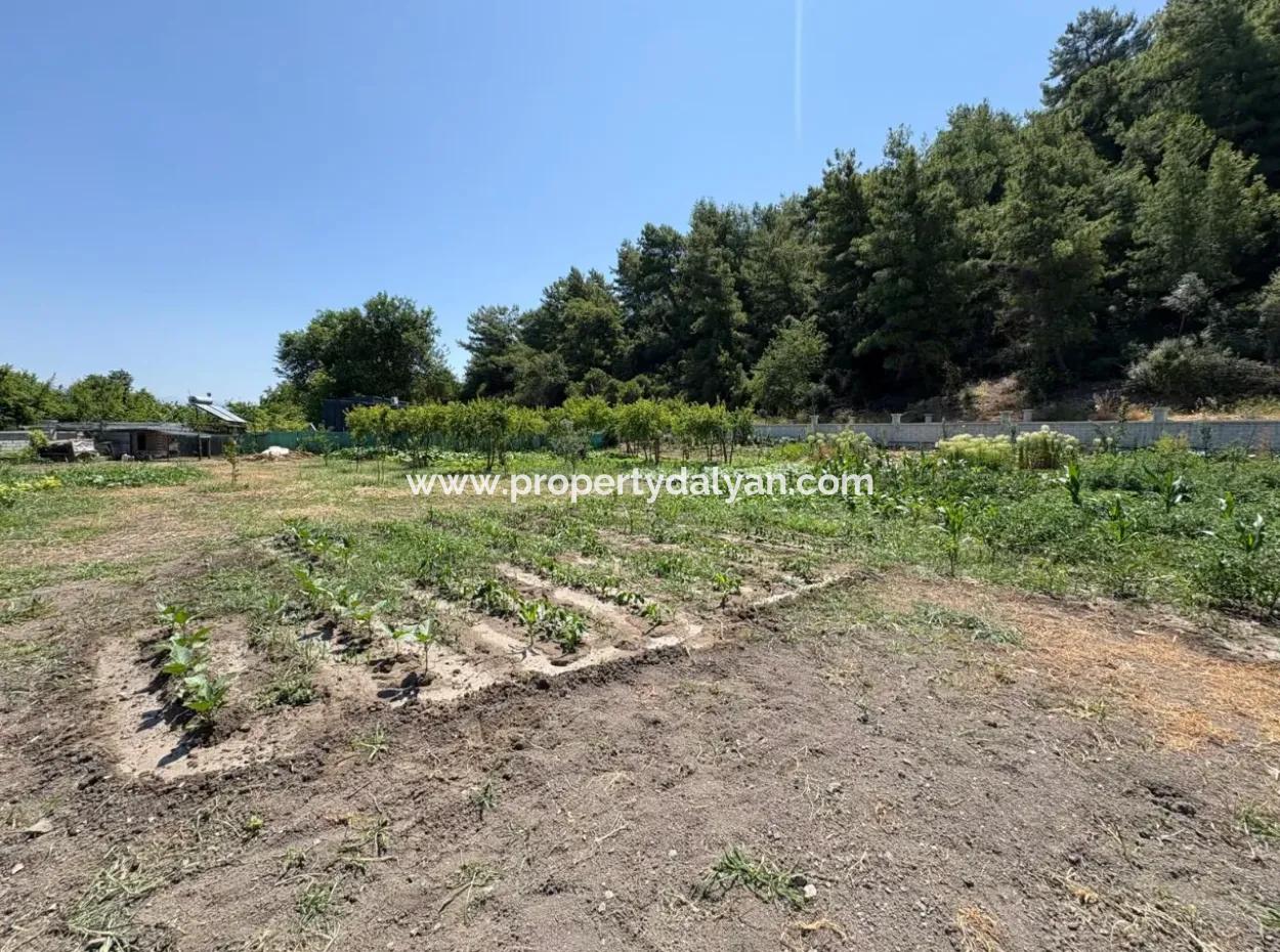 120M2 Freistehendes Holzhaus Auf Einem 2500M2 Großen Feld In Dalyan Karadağ