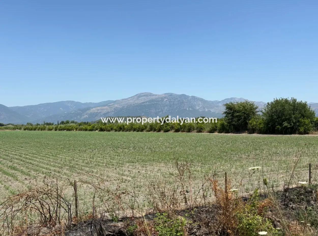 46.550M2 Grundstück Zum Verkauf In Tepearası