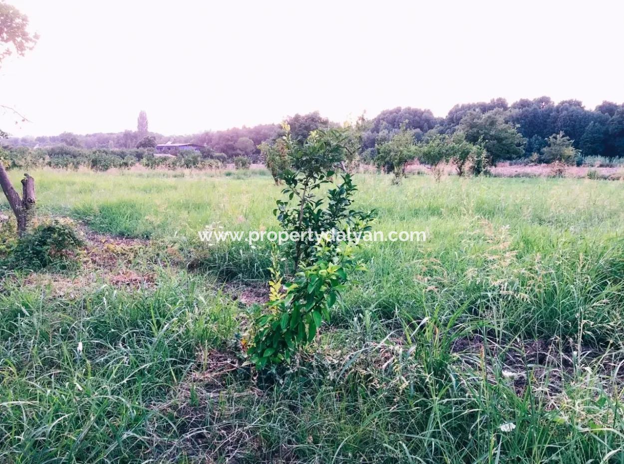 Archer In Die Bogenschützen Grundstück Zum Verkauf Zum Verkauf In Marmarli 1,500M2 Grundstück Zum Verkauf
