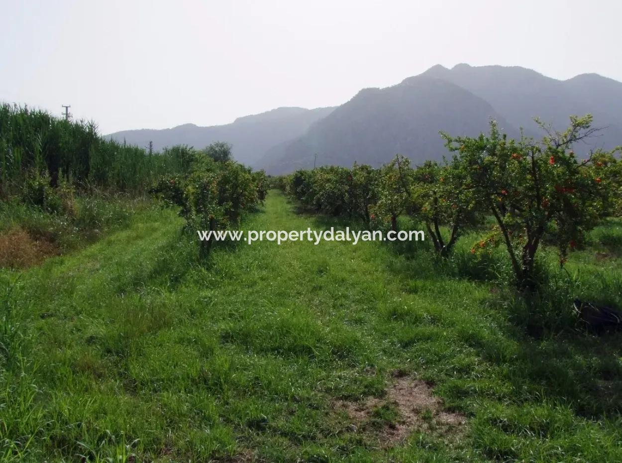 Merkez Dalyan Iztuzu See-Garten-Villa Zum Verkauf