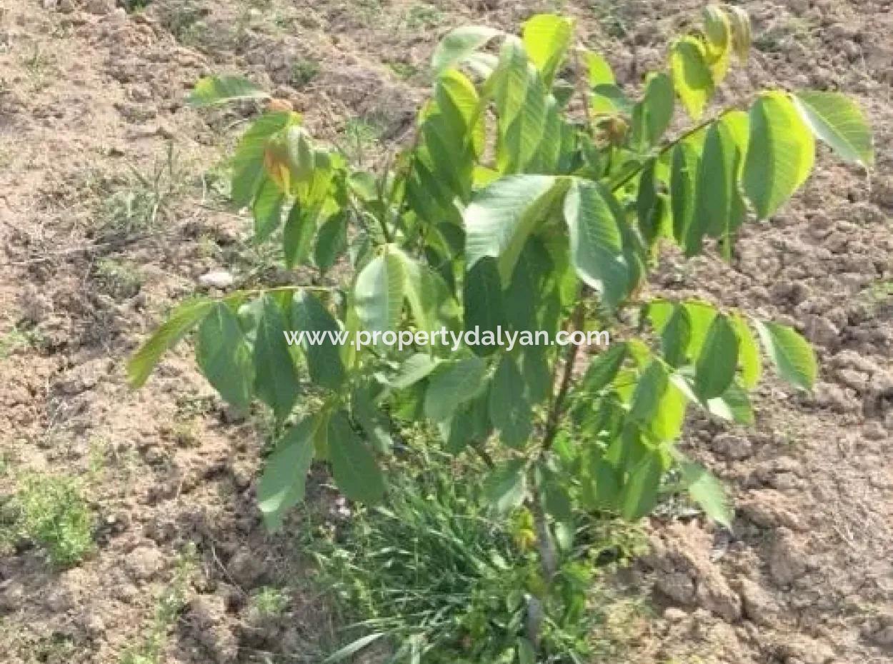 Zum Verkauf In St John ' S, Stichi Grundstück Zum Verkauf Null-In Auf Dem Weg 1562M2