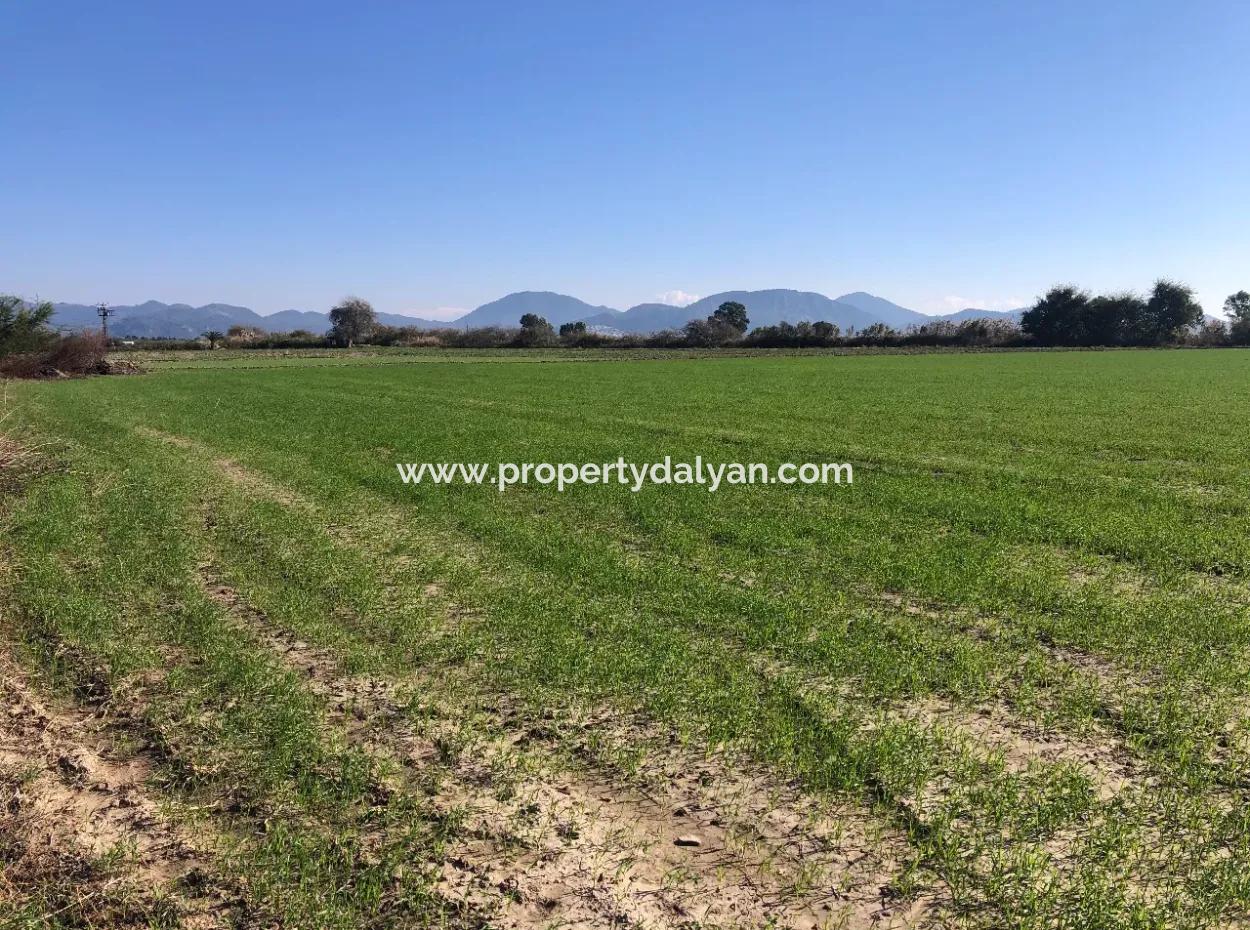 Land Zu Verkaufen In Sar'germede 30.000M2 Land Zum Verkauf Mit Meerblick