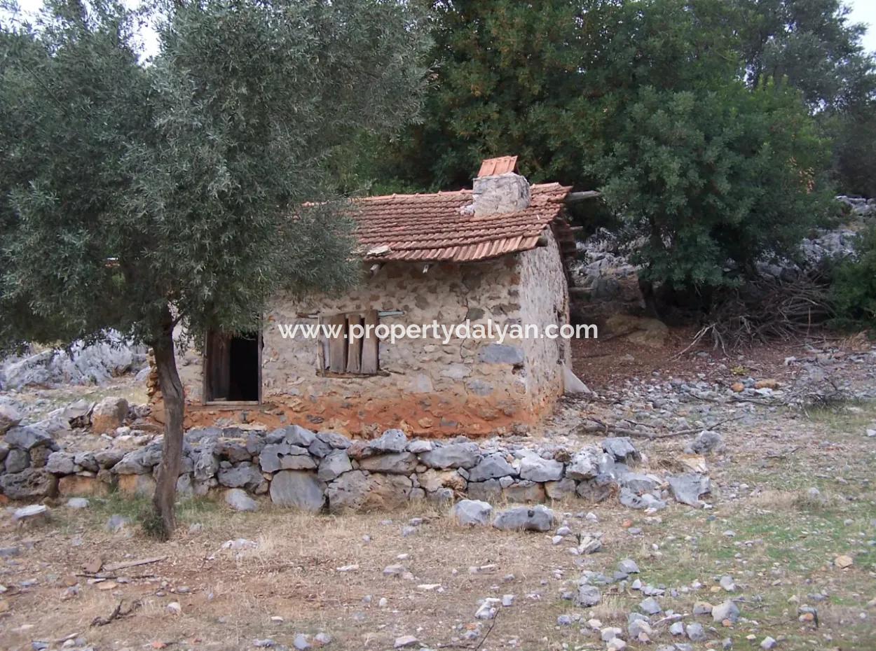 Steinhaus Zum Verkauf In Sarsalada Meerblick 4274M2 Grundstück