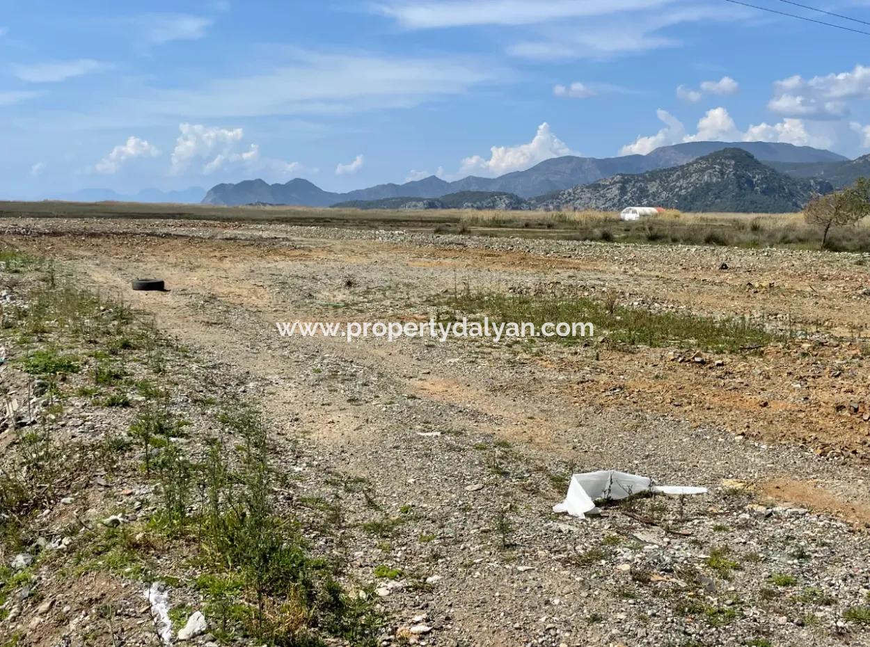 Dalyan Iztuzu Strand Straße Null 19.600M2 Feld Land Zum Verkauf