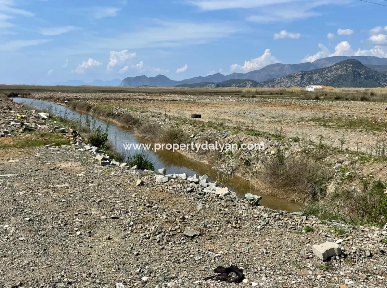 Dalyan Iztuzu Strand Straße Null 19.600M2 Feld Land Zum Verkauf