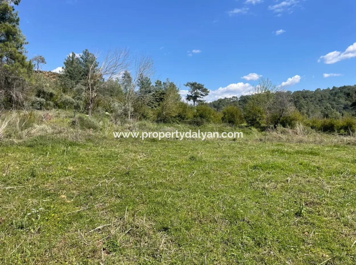 Mehrfamilienhaus Zum Verkauf In 5650M2 Feld In Zeytinalann