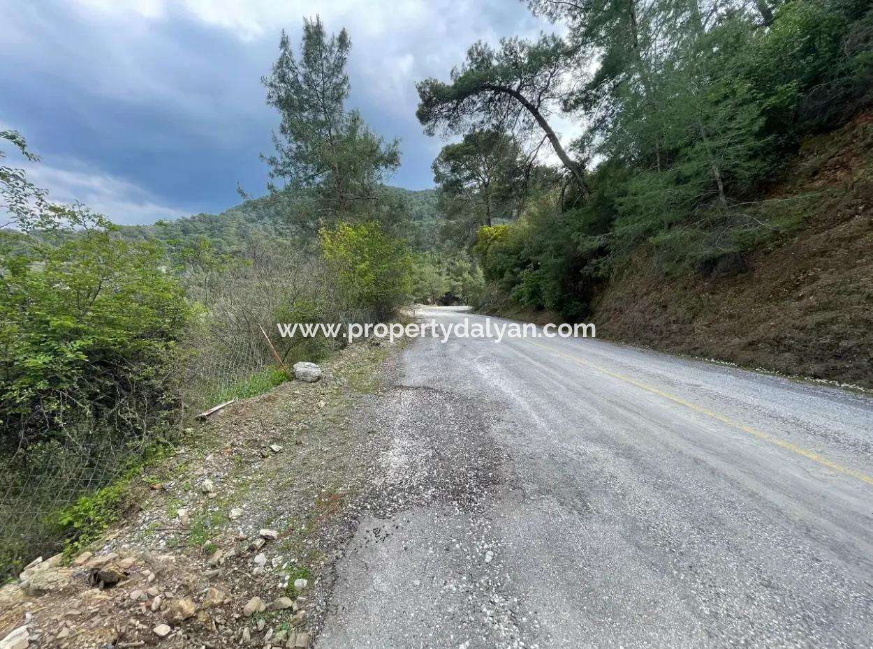 5000M2 Feld Zum Verkauf Am Anfang Der Straße In Çandır