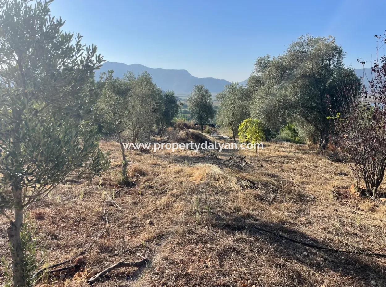 Çandır Voller Meer- Und Seeblick 500M2 2B Feld Zu Verkaufen