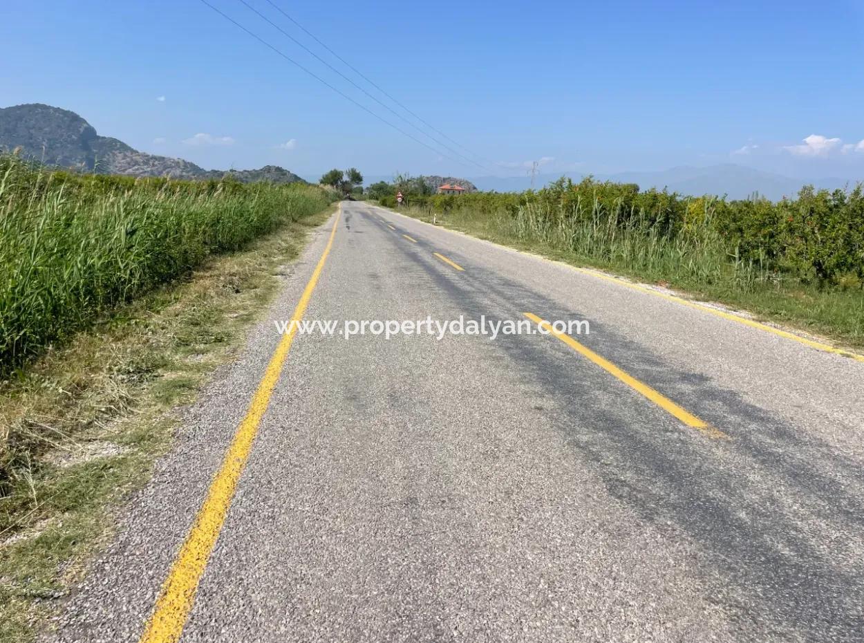 6.500 M2 Feld Zum Verkauf An Der Iztuzu-Straße In Dalyan