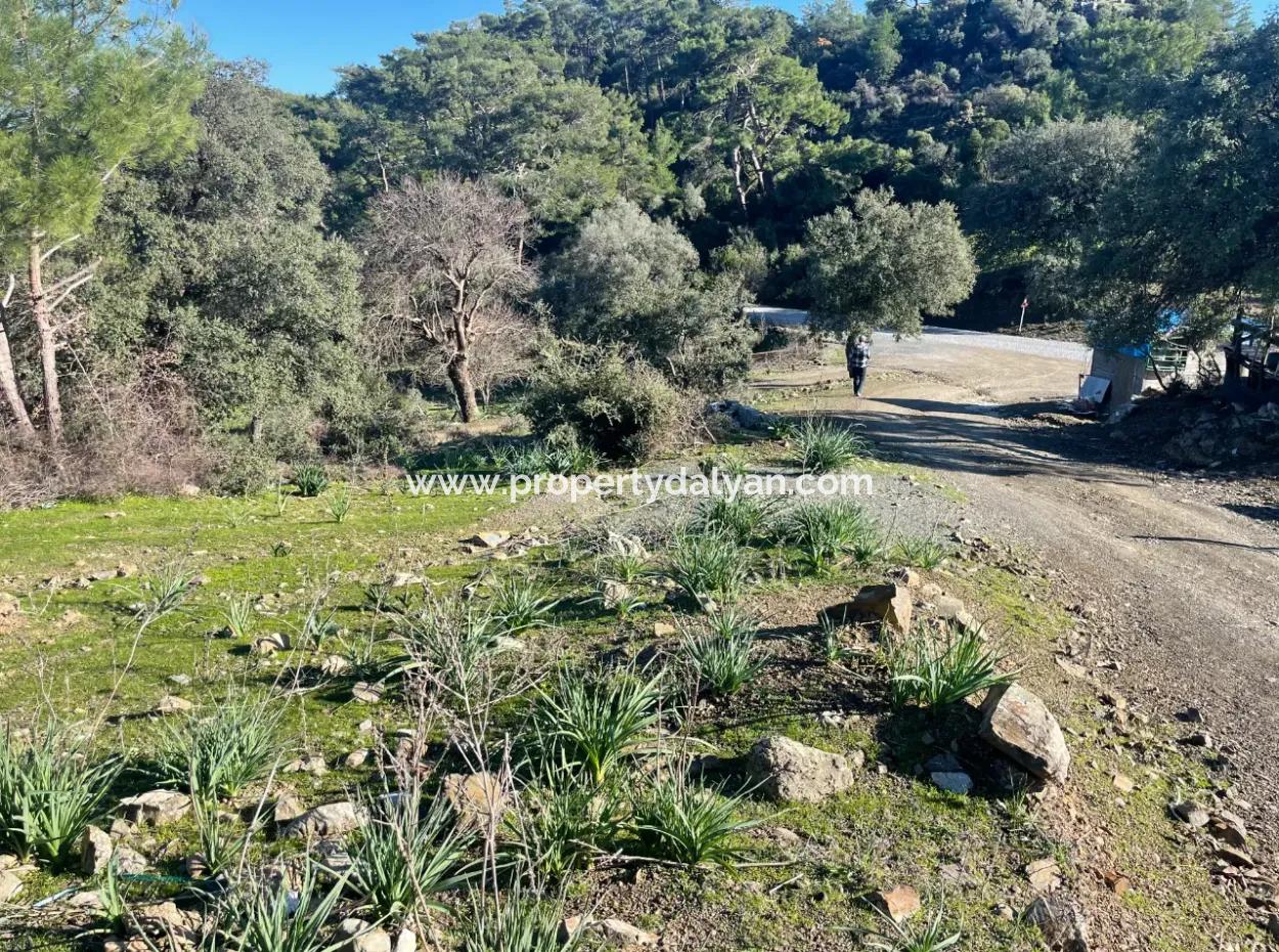 2B Grundstück Zum Verkauf Mit Meerblick In Çandır