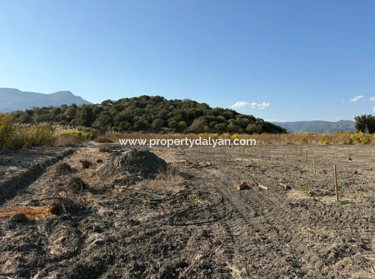 19.663M2 Ackerland Und Haus Zum Verkauf In Eskiköy