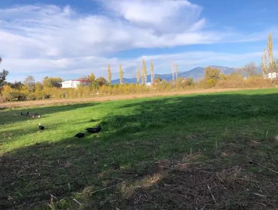 Grundstück Ein Dalyan 2540M2