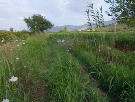 Bauernhof Zum Verkauf In Der Nähe Des Zentrums Von Dalyan,14, 612M2 Bauernhof Zum Verkauf