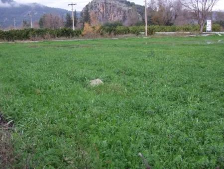 Gulpinar Dalyan Dalyan Zum Verkauf In 1002M2 Grundstück Für Verkauf Zum Verkauf Eckstein