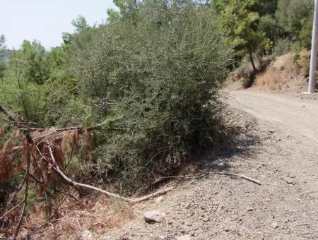 Mit Vollem Meerblick Zum Verkauf In Sarigerme, Grundstücke Zum Verkauf