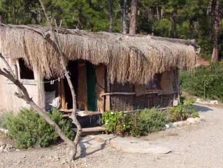 Beachfront Bungalow Zum Verkauf In Akbuk, Die Durch Das Meer Auf Einem Grundstück Von 800M2-Villa Zum Verkauf Turnalı