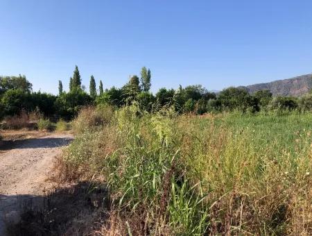 Land Zum Verkauf Im Zentrum 891M2 Land Zu Verkaufen