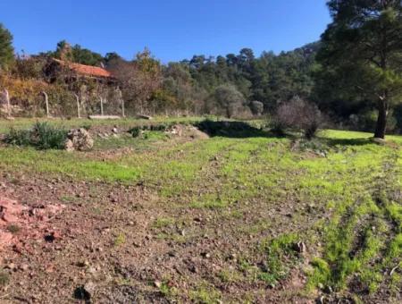 Gokbel Land Zu Verkaufen 8000M2 Land Zum Verkauf Mit Voller Meerblick