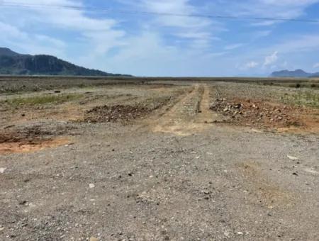 Dalyan Iztuzu Strand Straße Null 19.600M2 Feld Land Zum Verkauf