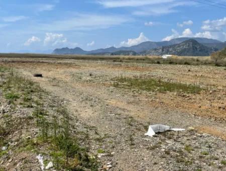 Dalyan Iztuzu Strand Straße Null 19.600M2 Feld Land Zum Verkauf