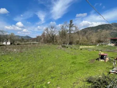 Sultaniye Büyükkaraç Mahallesin Gebraucht Kaufen Feld