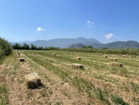 6.500 M2 Feld Zum Verkauf An Der Iztuzu-Straße In Dalyan