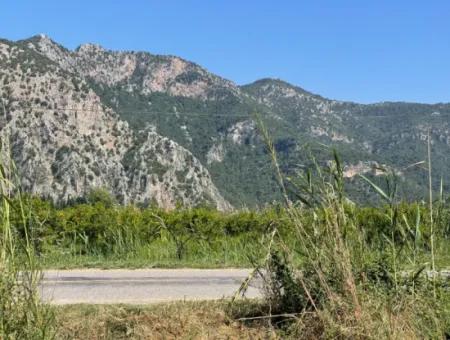 6.500 M2 Feld Zum Verkauf An Der Iztuzu-Straße In Dalyan