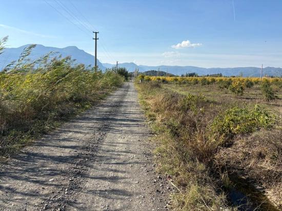 21500 M² Großer Granatapfelgarten In Eskiköy Zu Verkaufen