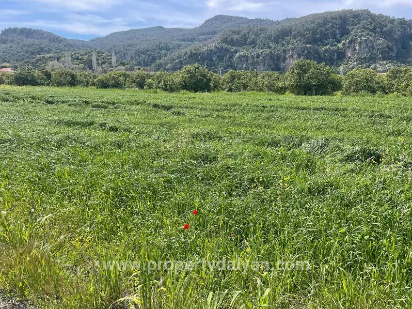 Archers' In Okçular'da 736m2 Olan 250m2 Construction Licensed For Sale Plot