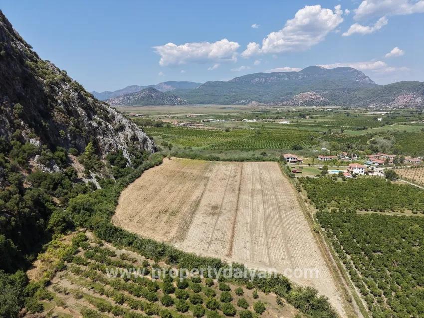Field For sale in Dalyan Nbh. Ortaca - Field Zoned - 20.786 m²
