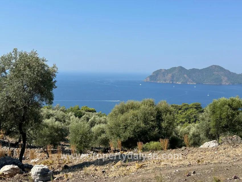 Field For sale in Çandır Nbh. Köyceğiz - Field Zoned - 21.000 m²