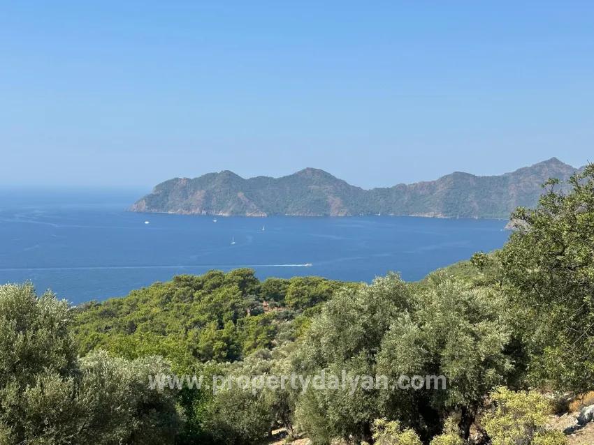 Field For sale in Çandır Nbh. Köyceğiz - Field Zoned - 21.000 m²